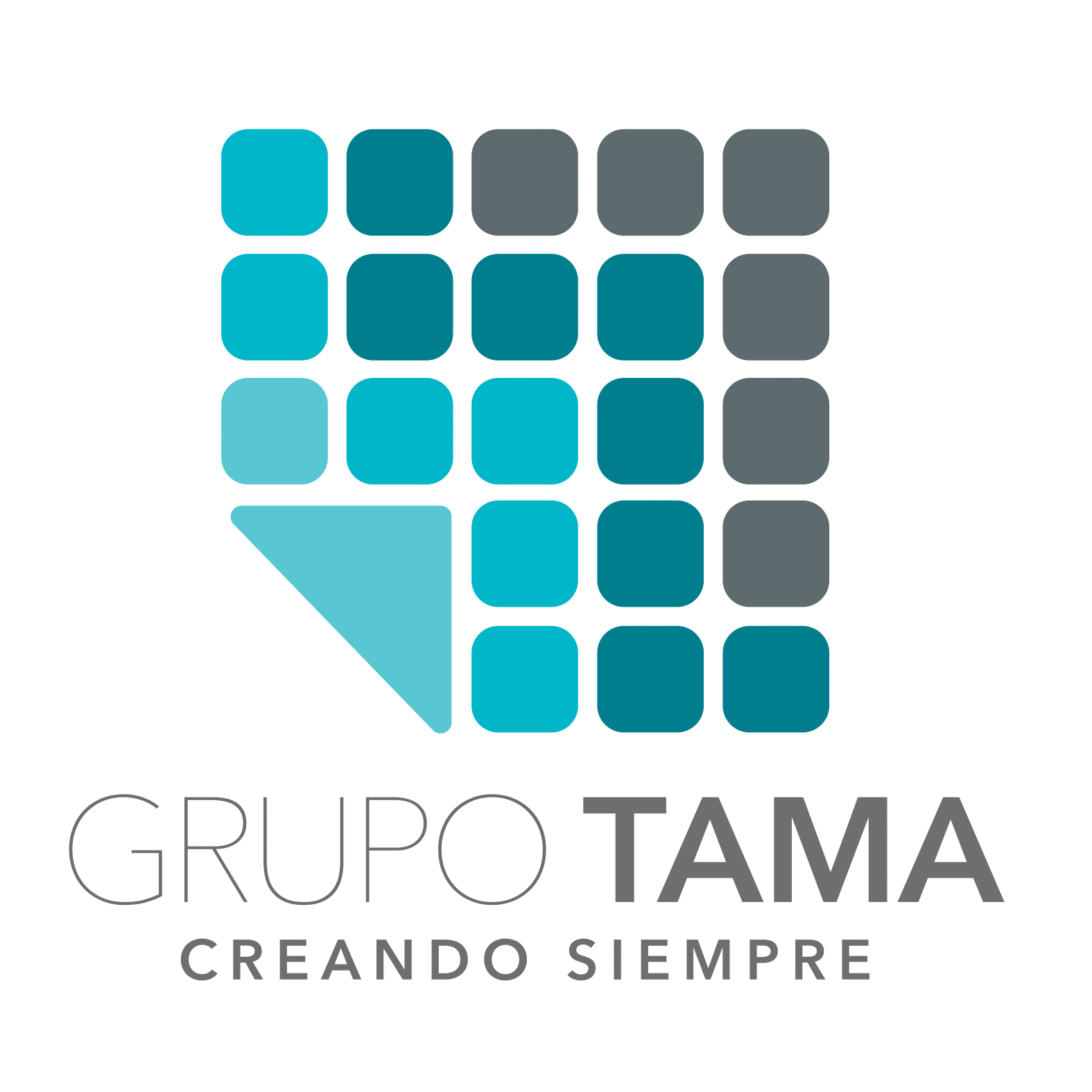 GrupoTama_Nuevo-1